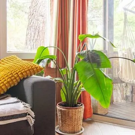 Alpehytte Et Pins Agde